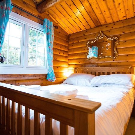 Woodpecker 3 Bedroom Trawsfyndd Holiday Village - Hosted By Seren Property Trawsfynydd Dış mekan fotoğraf